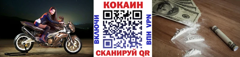 купить наркотики цена  Гороховец  КОКАИН Эквадор 
