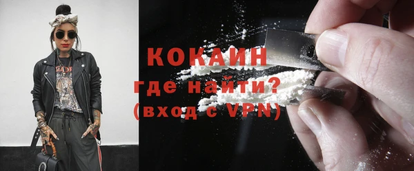 дживик Богородицк