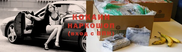 дживик Богородицк