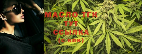 дживик Богородицк