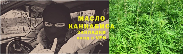 дживик Богородицк